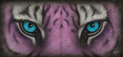 Can't Be Trusted by Colin Banks - Original sized 30x14 inches. Available from Whitewall Galleries
